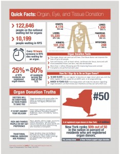 LLNY General Fact Sheet Q2 2015